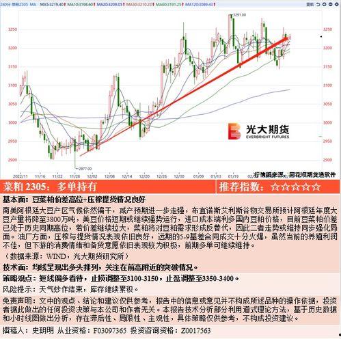 吃瓜事件网红网站,热门事件背后的网络狂欢