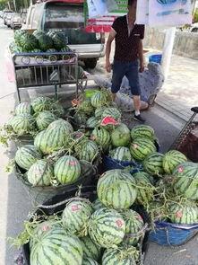 宿迁网红吃瓜事件,一场网络狂欢背后的真相揭秘